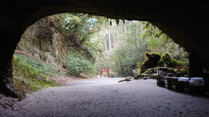 スポートツアーズは九州や奄美大島、屋久島でのパワースポット巡りができるツアーをご用意