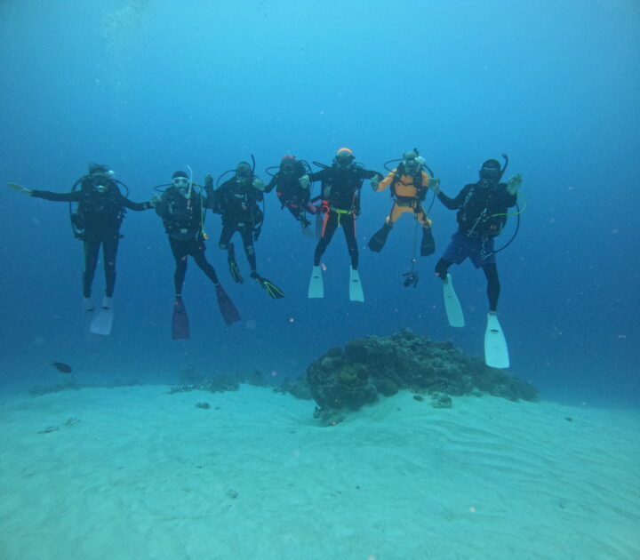 パラオダイビングツアー2025 ・サメパラダイス ★PART 1の画像