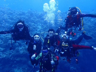 Tubbataha Reef Cruise　2026・Y.Mの画像