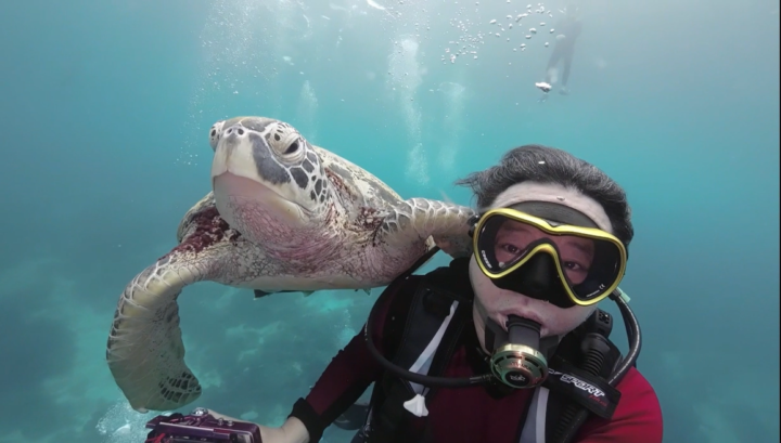 Tubbataha Reef Cruise 2026・M.Kの画像