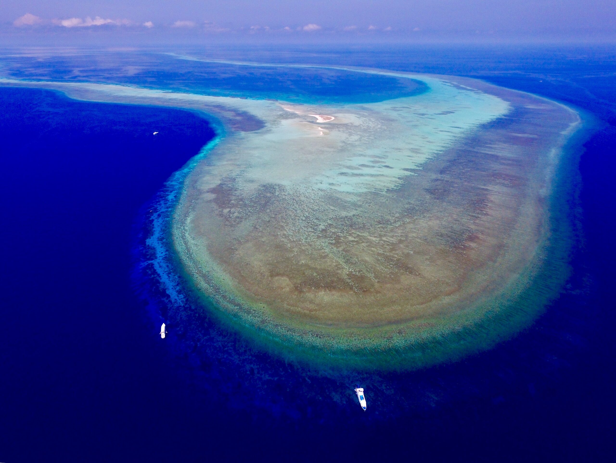 World Helitage Site Tubbataha Reef Cruise 2024フィリピン世界自然遺産 トゥバタハリーフクルーズ乗船料